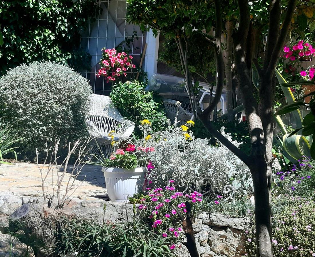 Lila Garden Apartment