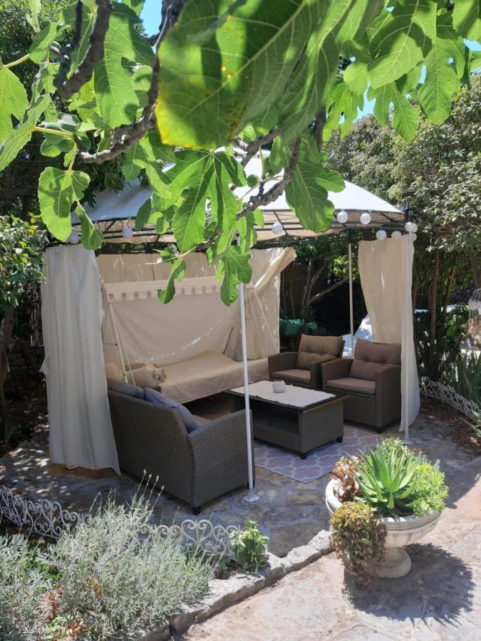 Lila Garden Bol