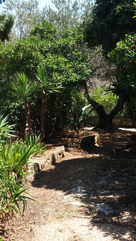 Lila Garden Bol