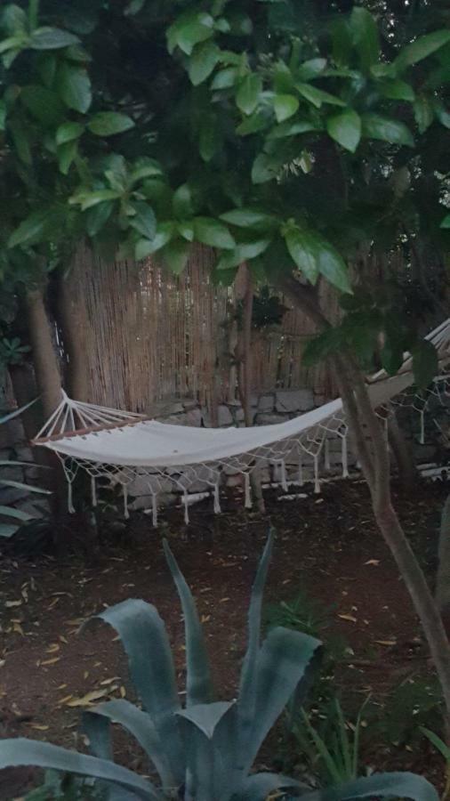 Lila Garden * Bol