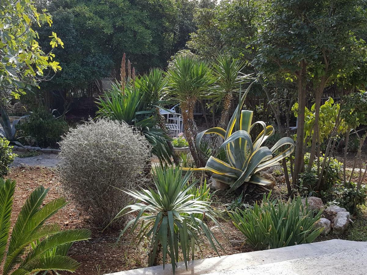 Lila Garden Apartment *
